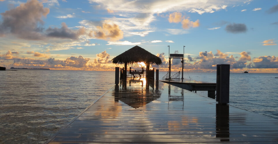 Dining on the Ocean